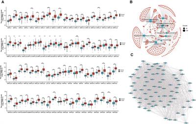 Classification of the mitochondrial ribosomal protein-associated molecular subtypes and identified a serological diagnostic biomarker in hepatocellular carcinoma